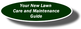 New Lawn Guide