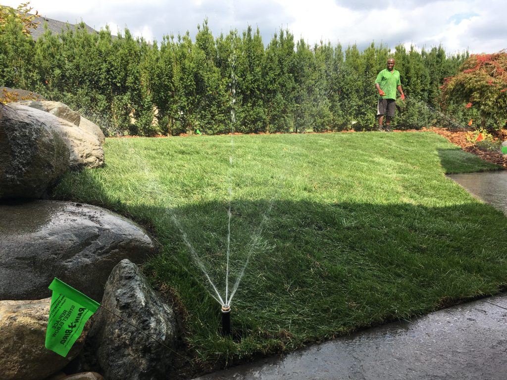 lawn sprinkler / irrigation system