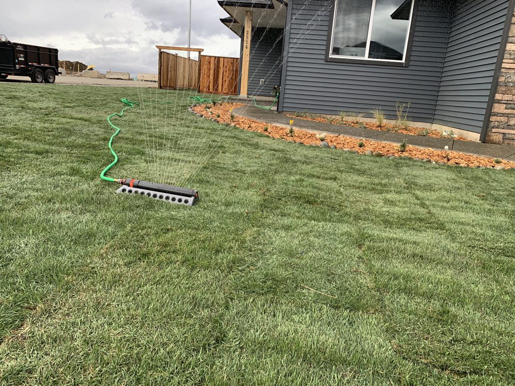 Choose a sod based on your usage and environment of your yard.