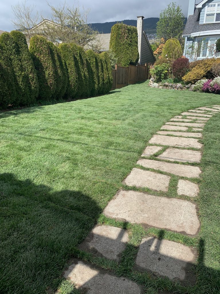 North and West Vancouver Sod Installation for a new lawn