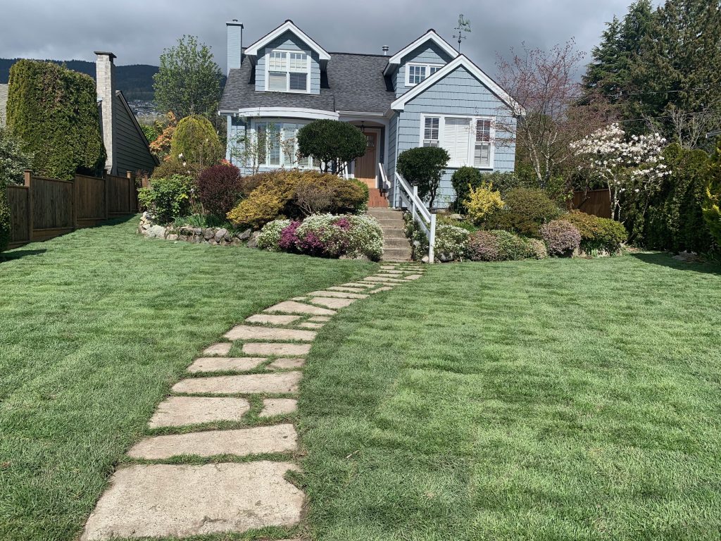 Sodded lawn in West Vancouver