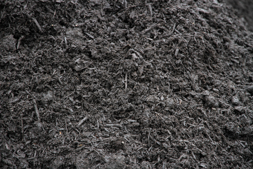 Composted bark mulch