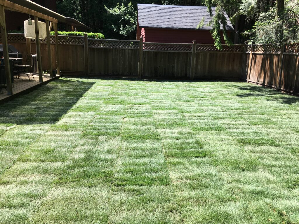real turf grass lawn area installed in Vancouver