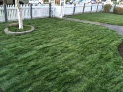 Lawn sizes up to 8000 square feet