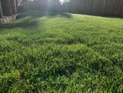 Lawn sizes up to 2000 square feet