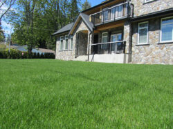Lawn sizes up to 10,000 square feet