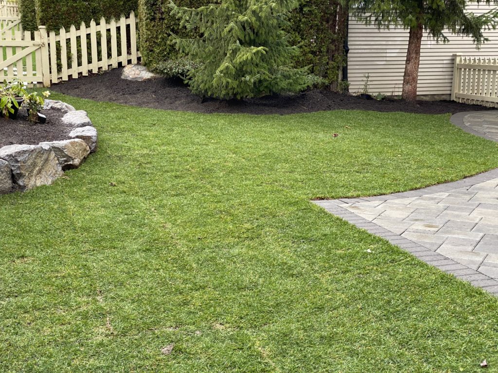 Choosing the best type of grass for your Vancouver lawn depends on many things.
