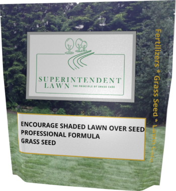 Encourage Shade Lawn Over Seed